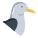 Seagull icon