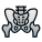 Pelvis icon