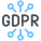 GDPR Data icon