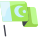 Pakistan icon