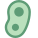 Bacteria icon