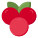 Cranberry icon