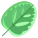Calathea Leaf icon
