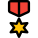 Silver Star military medal isolated on a white background icon