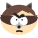 il-coon icon