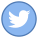 Twitter entouré icon