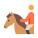 pele equestre tipo 2 icon