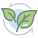 Green tea icon