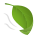 Leaf Fluttering In Wind icon