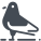 Pigeon icon