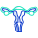 Uterus icon