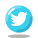 Twitter dentro de um círculo icon