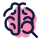 Neuroscience Experiment icon