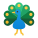 Pavo real icon