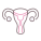 Uterus icon