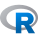 r-项目 icon