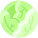 Cabbage icon