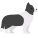 边境牧羊犬 icon