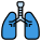 Lung icon