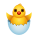 Hatching Chick icon