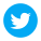 Twitter eingekreist icon