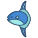 Ocean Sunfish icon