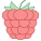 Raspberry icon