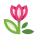 Tulipa icon