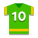 Maglia del giocatore icon