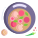 Salami And Mushroom Pizza icon