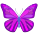 Mariposa icon