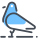 piccione icon