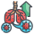 Lung icon