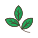 Branch Leaves icon