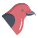 Crossbill icon