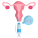 Uterus icon