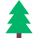 Árbol conífero icon