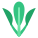 tu-choy icon