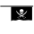 Pirate Flag icon