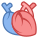 Anatomisches Herz icon