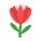 -Protea-Blume icon