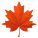 Maple Leaf icon