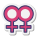 Feminino duplo icon