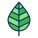 Leaf icon