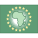 Union africaine icon