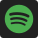 Spotify icon