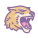 rit-tigre icon
