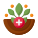 Natural Medicine icon