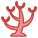 Coral icon