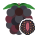 Blackberry icon